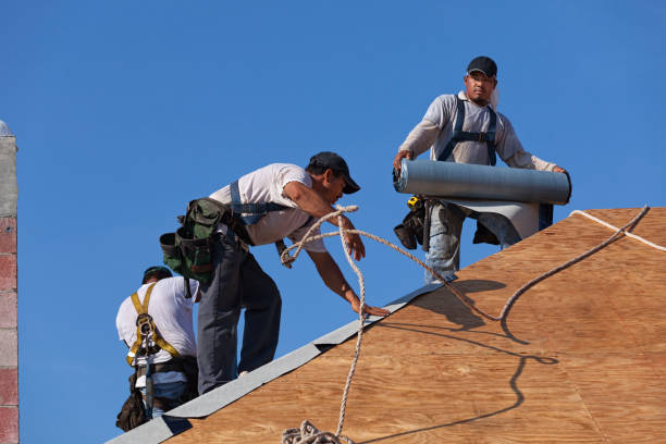 Best Roof Repair Services  in Trenton, NJ
