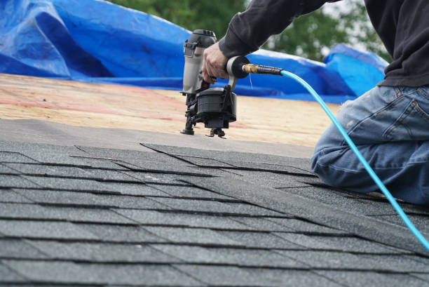 Best Roof Waterproofing Services  in Trenton, NJ